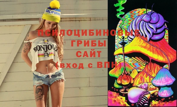 бутират Няндома